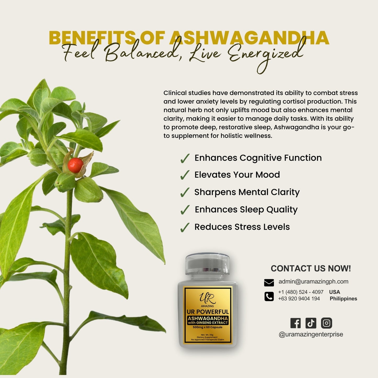 UR POWERFUL Ashwagandha with Ginseng Extract Capsules (500mg x 60 capsule)